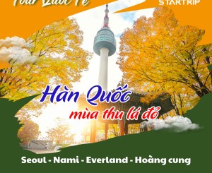 POSTER TOUR STARTRIP