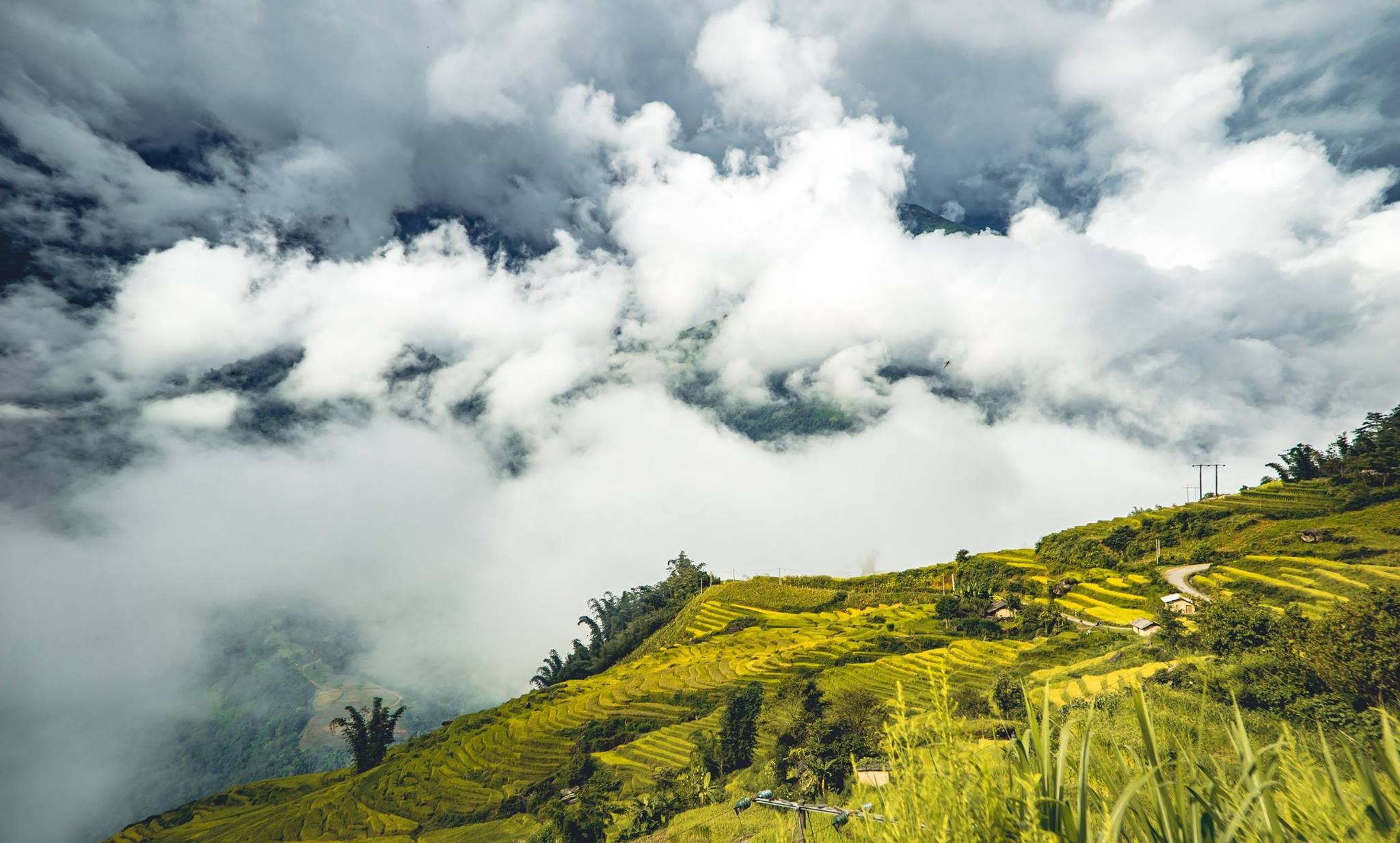 Săn mây trắng giữa mùa vàng Tây Bắc