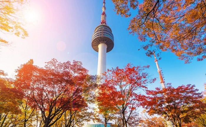 Tour Hàn Quốc BUSAN – DAEGU –  SEOUL 4N5Đ
