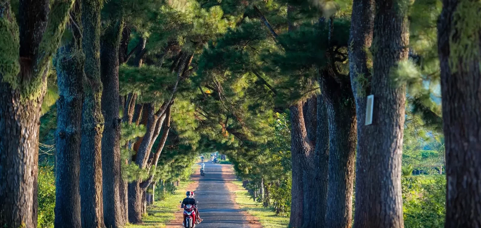 Tour Pleiku - Gia Lai