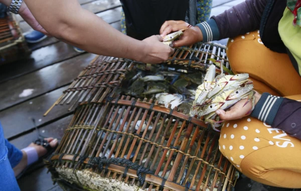 Du Lịch Cambodia Nature 5N4Đ: Koh Rong – Kampot – Kep Khám Phá Thiên Nhiên