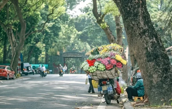 Tour Du Lịch Việt Nam Luxury 5N4Đ: Hà Nội – Hạ Long – Phú Quốc Nghỉ Dưỡng Đẳng Cấp