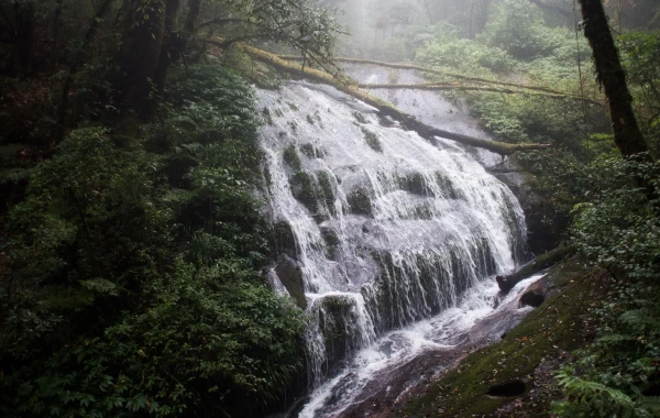 Tour Du Lịch Thái Lan Family 5N4Đ: Bangkok – Phuket – Chiang Mai Hành Trình Gia Đình